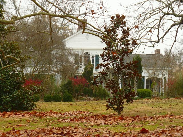 PATRON – There were many historic Plantations near Faunsdale, Marengo County, Alabama