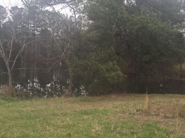 PATRON + A Baptist Minister pulled his invalid wife in a buggy in Bullock County, Alabama