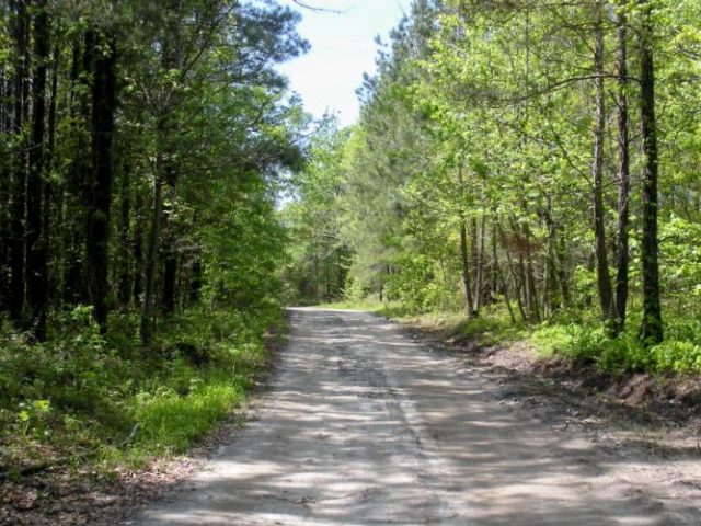 PATRON + Midway and James in Bullock County, Alabama were thriving academic towns in 1885.