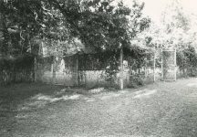 PATRON - Anecdotes about the pioneer Prewitts and Myatts buried in Colbert County, Alabama