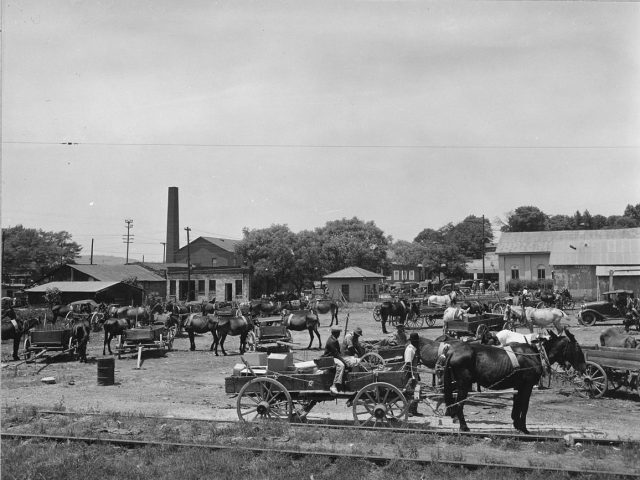 PATRON + Pioneer Talladega, Its Minutes and Memories Chap. 2 -Court site owned by colored man & medals from King George found