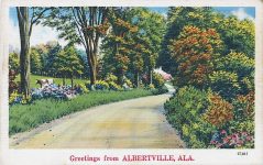 PATRON + Laid waste by a tornado April 25, 1908, Albertville, Alabama rose again from the ruins