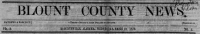 PATRON - March 19, 1879 - Sheriff announces sale of property