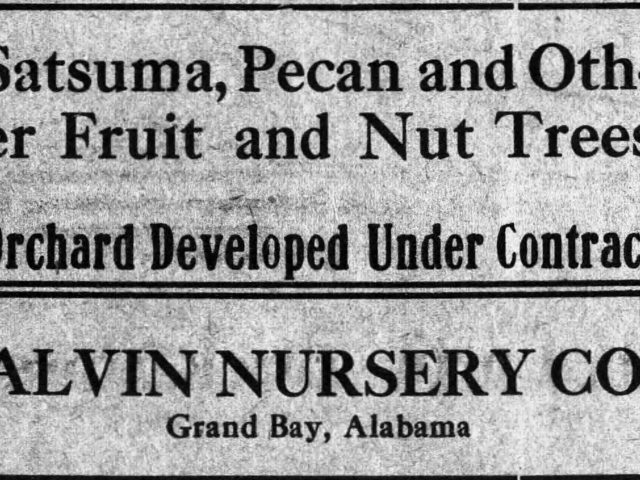 A gift from Japan created a whole new industry in Alabama in 1878.