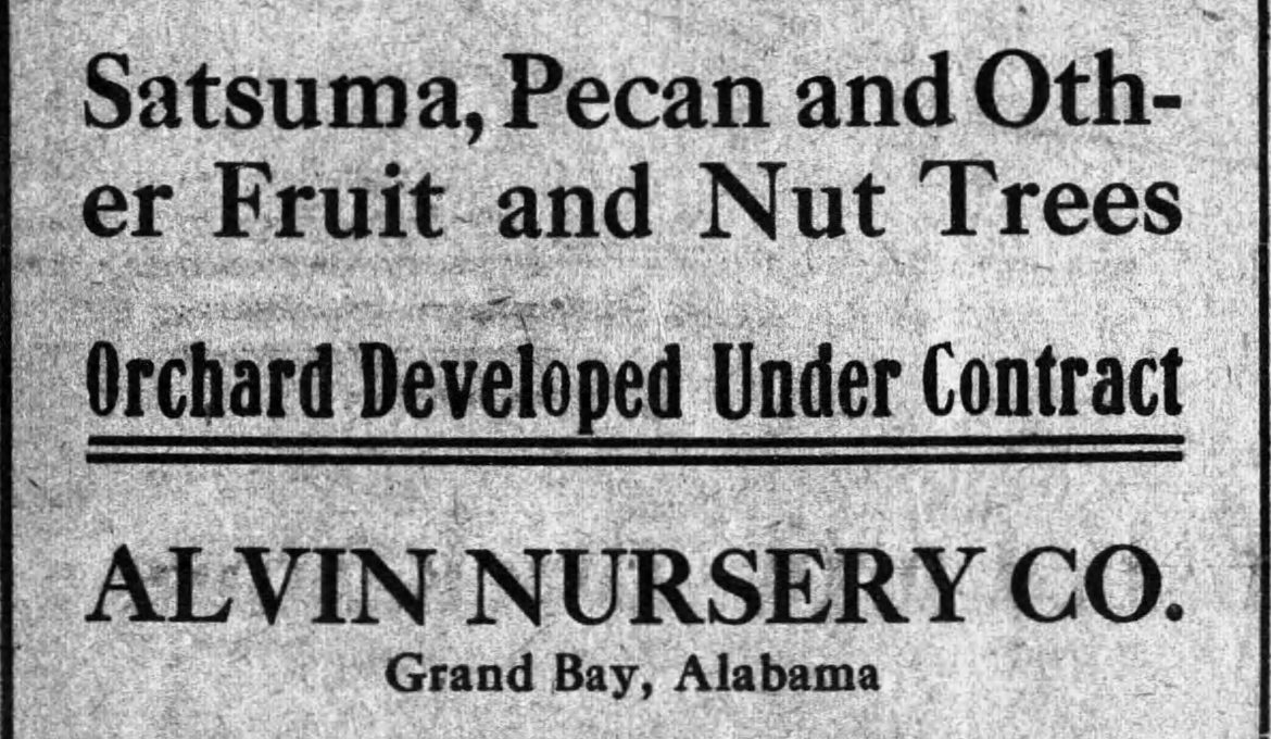 PATRON – Malaria, pneumonia, and accidents were in the news in Union, Alabama in 1915﻿