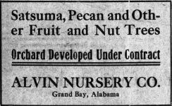 PATRON – Malaria, pneumonia, and accidents were in the news in Union, Alabama in 1915﻿