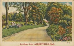 PATRON + Laid waste by a tornado in 1908, Albertville, Alabama rose again from the ruins