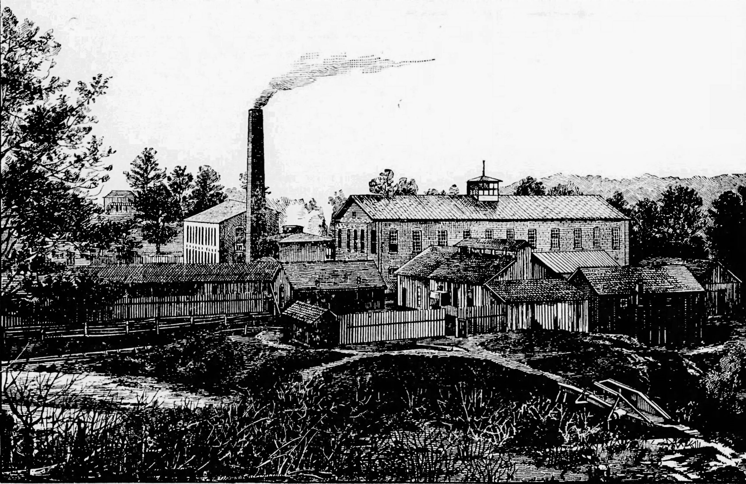 PATRON + Tuscaloosa had a booming cottonseed industry in Tuscaloosa in 1899