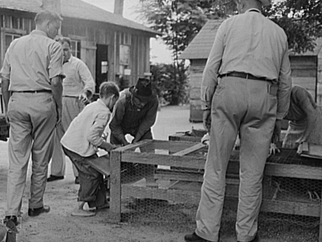 (Old Photos) Alabama farmers supplied food for WWII soldiers – Part I