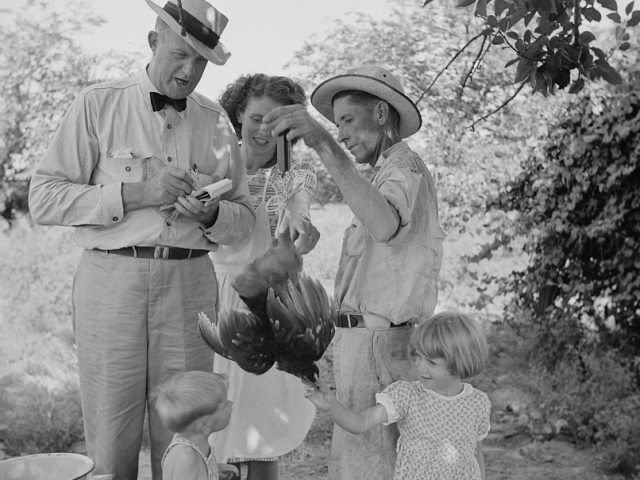 Photos of the Drigger family of Coffee County in August 1941