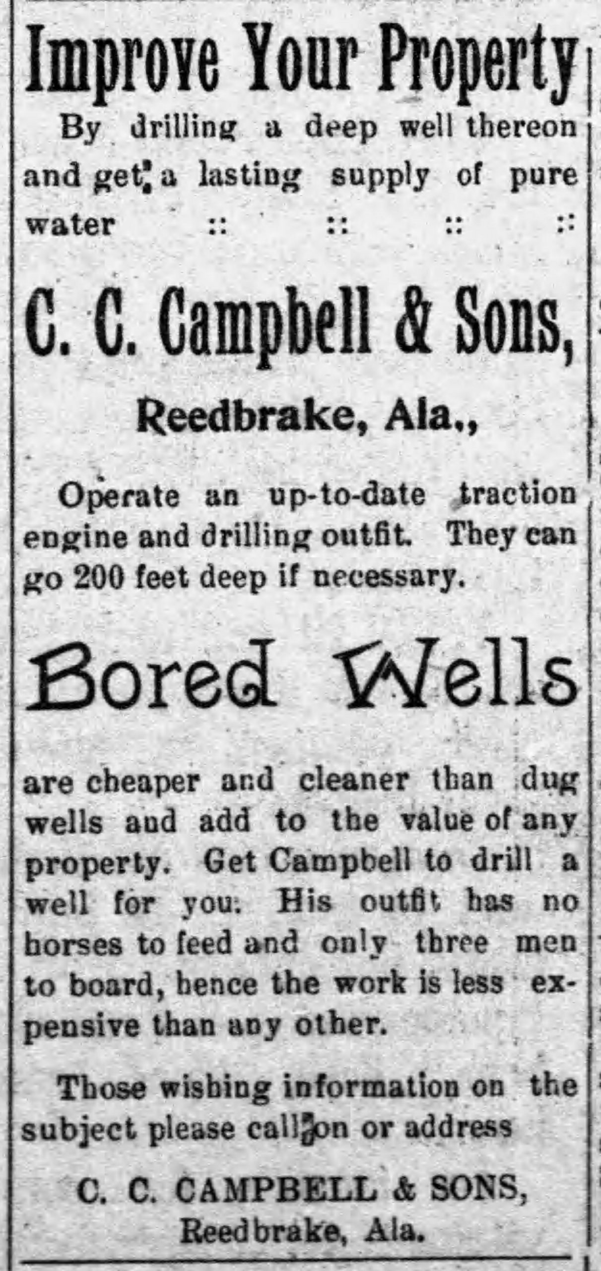 PATRON Poultry show winners from Guntersville, stockholder and